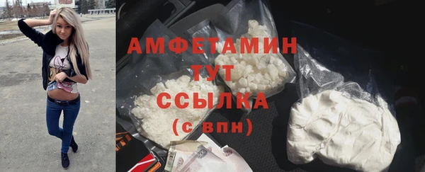 ГАЛЛЮЦИНОГЕННЫЕ ГРИБЫ Магас