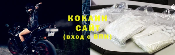 сатива Магадан