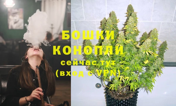 ГАЛЛЮЦИНОГЕННЫЕ ГРИБЫ Магас