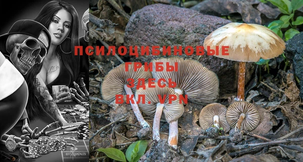 mdpv Майский