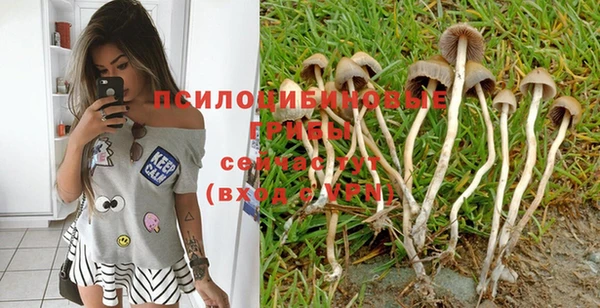 сатива Магадан