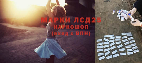 сатива Магадан