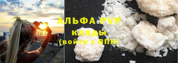 сатива Магадан