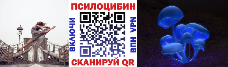 Галлюциногенные грибы мицелий  Купить где  Мурино 